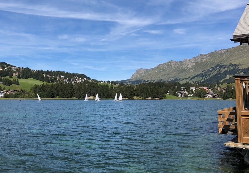 IMG_4598.jpg