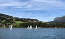 IMG_4600.jpg