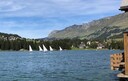 IMG_4601.jpg