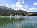 IMG_20200627_151146.jpg