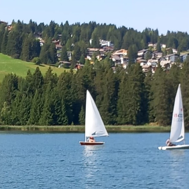 IMG-20250817-WA0012.jpg