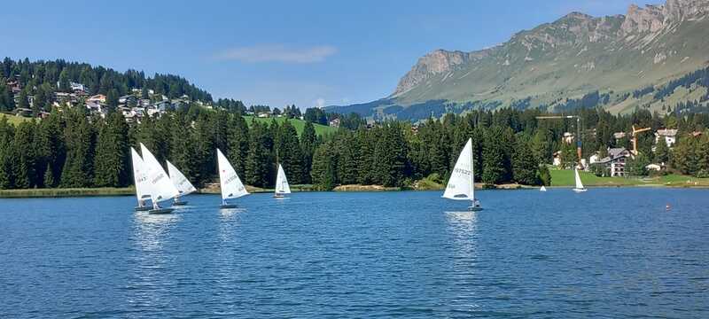IMG-20250817-WA0005.jpg