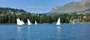 IMG-20250817-WA0005.jpg