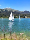 IMG_20200808_135842.jpg