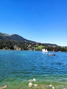 IMG_20200808_150521.jpg