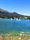 IMG_20200808_150620.jpg