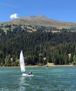 IMG_8981_001.jpg