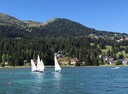 IMG_8988_001.jpg
