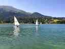 IMG_20190629_161822.jpg